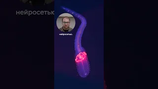 Вы точно решите, что это ИИ!
