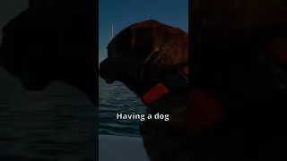 Dog loves beach, owners hate sand!