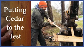 Acorn to Arabella – Journey of a Wooden Boat – Episode 111: Putting Cedar to the Test