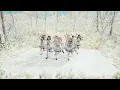 ＝LOVE（イコールラブ）/ 21st Single『恋、はじめました。』One-Take Dance version