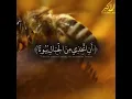 Quran Recitation - Surah An-Nahl Verse 68-69