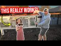 Raising Quail the RIGHT Way Full Pen Walkthrough What You Need to Know