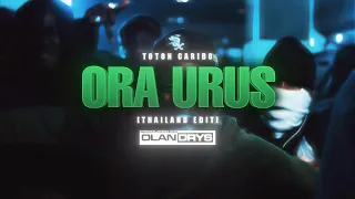 toton caribo ora urus thailand edit prod 0landrys 