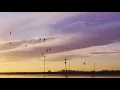 Leasing Land for Waterfowl Hunting Leases Is Your Land Suitable