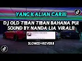 Download Lagu DJ OLD 2019 TIBAN TIBAN NANDA LIA VIRAL FYP TIKTOK YANG KALIAN CARI (SLOWED + REVERB)