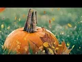 Lagu Peaceful music, Relaxing music, Instrumental music, Autumn Nature \