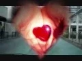 Download Lagu Mutu magyau timile. upload by Dilip pahim limbu.Japan