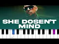 Download Lagu Sean Paul - She Doesn't Mind (2011 / 1 HOUR LOOP)