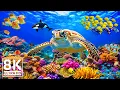 Amazing 8K Ocean Adventure Dive Deep and Marvel at Sea Animal in The Best 8K ULTRA Aquarium