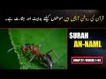 Download Lagu Surah An Naml Urdu Translation Only | Surah An Naml Urdu Tarjamah K Sath | Surah 27