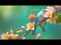 Download Lagu Harmonious Melodies: Soothing Music for Nervous System Health 🌿