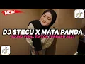 Download Lagu DJ STECU X MATA PANDA NDUGAL RACING VIRAL TIKTOK 2025