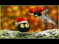 Lagu The Yule log | Minuscule 🍃🎄 75' Christmas Compilation 🎅❄️