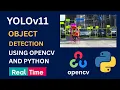 YOLO Object Detection Using OpenCV and Python Real Time Object Detection YoloV11