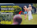 Download Lagu AWALNYA HEWAN INI DIANGGAP LUCU, TAPI SETELAH ITU...