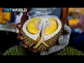 Download Lagu Durian demand raises stink in Malaysia | Money Talks