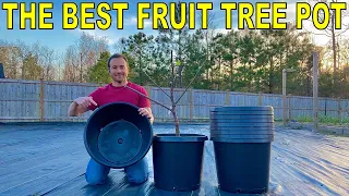 Download I Found The PERFECT FRUIT TREE CONTAINER! MP3