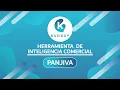 Tutorial Panjiva - Kusikuy