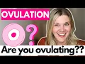 Ovulation Are You Ovulating What Are The Signs You Are Not Ovulating