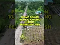 Download Lagu PROMO KAVLING TERBARU! DISKON 10JT/KAVLING