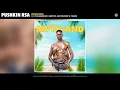 Pushkin RSA - Ungakhile (Official Audio) (feat. Philharmonic, BenyRic, Nation Deep & thesiix)