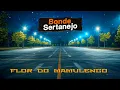 BONDE SERTANEJO = FLOR DO MAMULENGO