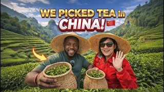 2026年的中国茶园：高科技程度超乎想象