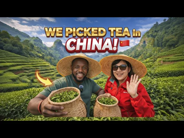 China’s Tea Farms in 2026: Way More High-Tech Than You Expect! 🇨🇳