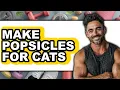 How to Make Popsicles for Cats Easy Method