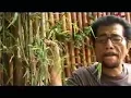 Download Lagu MEGGY Z - AKU ORANG TAK PUNYA || Lagu Meggy z || aku orang tak punya