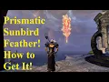 ESO How to Get the Prismatic Sunbird Feather