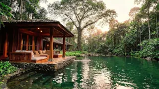 96 | RAINFOREST HORIZON | DEEP HOUSE MIX | DCS