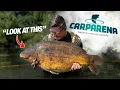 Download Lagu 'Proper' Fishing at Carp Arena (Belgium) | Danny Fairbrass