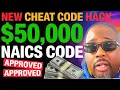 The Best 5 NAICS Codes That Guarantee ANYONE 50 000 Business Funding Approval in 2025