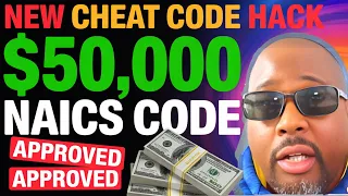The Best 5 NAICS Codes That Guarantee ANYONE 50 000 Business Funding Approval in 2025