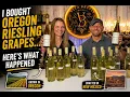 I Bought Oregon Riesling Grapes - Here s What Happened