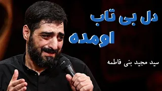 نوحه سید مجید بنی فاطمه دل بیتاب اومده Majid Bani Fatemeh 