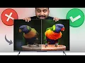 QLED vs LED TV at 30K Don t Make This Mistake