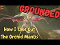 Grounded How to Beat The Orchid Mantis