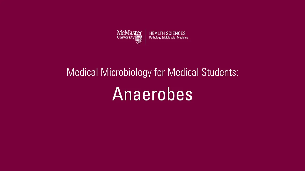 Anaerobes | Med Micro for Med Students