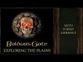 Baldurs Gate | Exploring the Plains | Forest Ambience
