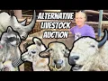 Unleashing the Wild Unusual Farm Animals in Bizarre Auction