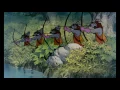 Download Lagu Robin Hood - Oo De Lally (Finnish Blu-ray Version) [HD]