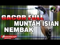 Download Lagu MASTERAN CENDET GACOR FULL ISIAN FULL TEMBAKAN COCOK UNTUK PANCINGAN DAN MASTERAN PENTET BAHAN