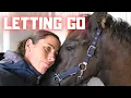 Lagu Now It’s Real. The Foal Is Being Sold | Teaching Rising Star⭐ to Steer | Friesian Horses