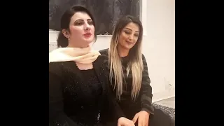 چرخه گیری غزال عنایت از نازیه اقبال هنر مند پاکستانی         دندنها