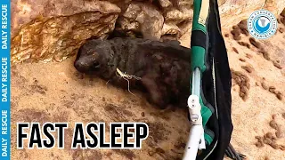 He Never Saw Us Coming: A Lifesaving Rescue