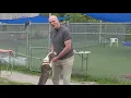 Tim Misny introduces some adorable and adoptable pups at City Dogs Cleveland Clear the Shelters