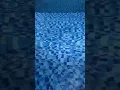 Download Lagu Looking for fat fazio in the pool after Ricky drama live slapped him!