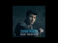 Download Lagu Shawn Mendes - Treat You Better